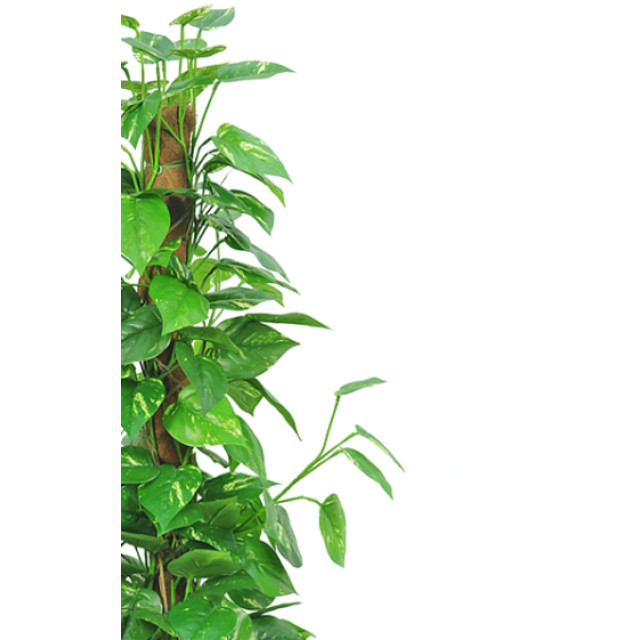 Hoyz Greenery kunstplant pothos 150 cm 2945584 large