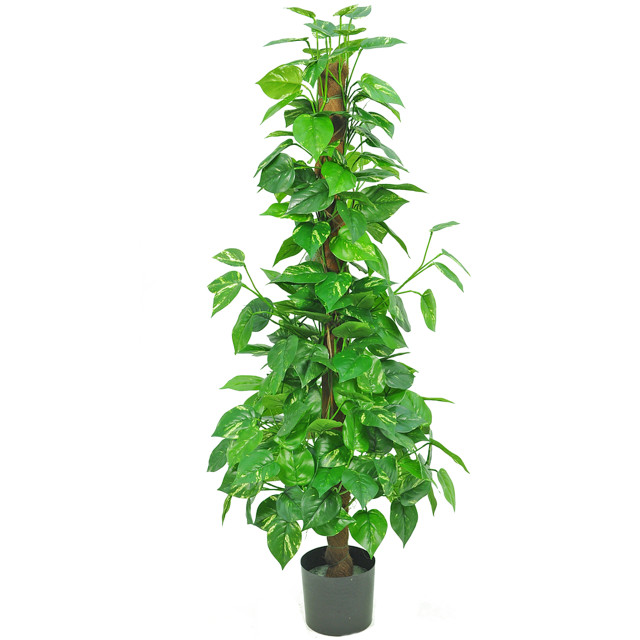 Hoyz Greenery kunstplant pothos 150 cm 2945584 large