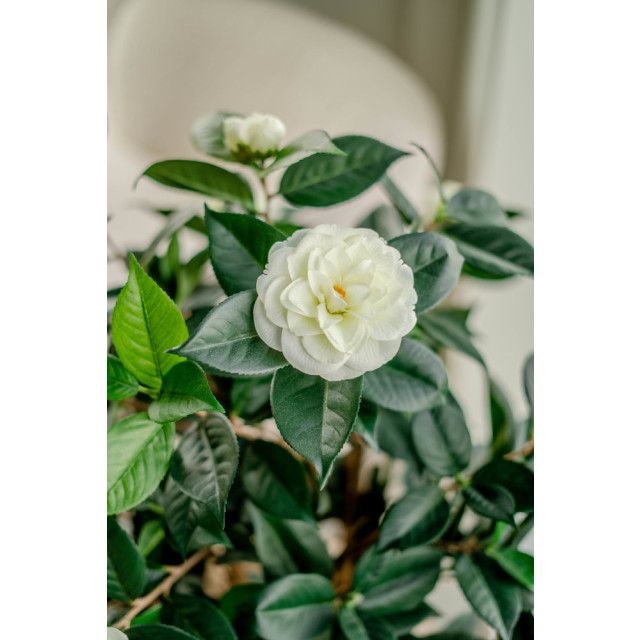 Hoyz Greenery kunstplant camellia japonica 100 cm 2945888 large