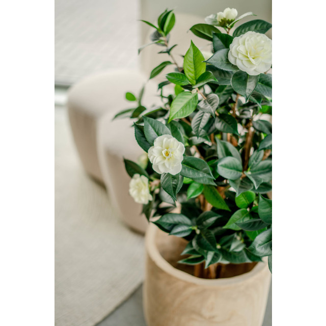 Hoyz Greenery kunstplant camellia japonica 100 cm 2945888 large