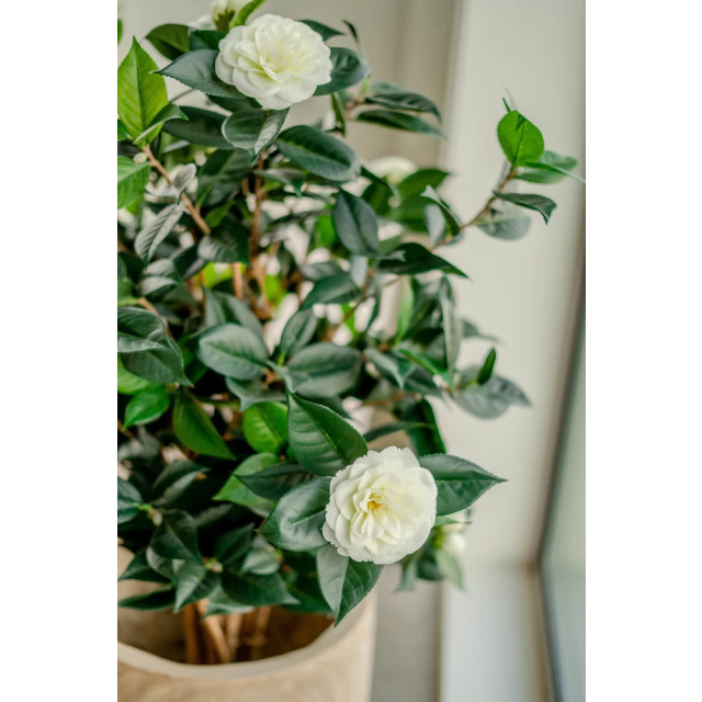 Hoyz Greenery kunstplant camellia japonica 100 cm 2945888 large