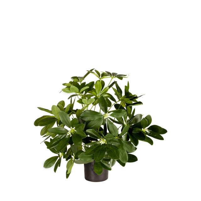 Hoyz Greenery kunstplant baby schefflera 45 cm 2945835 large