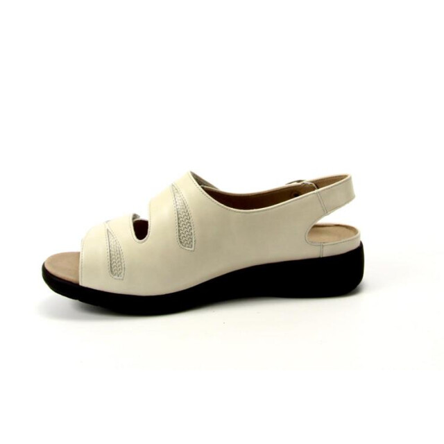 Solidus 73113 73113 Lia large