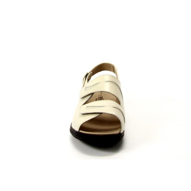 Solidus 73113 73113 Lia large