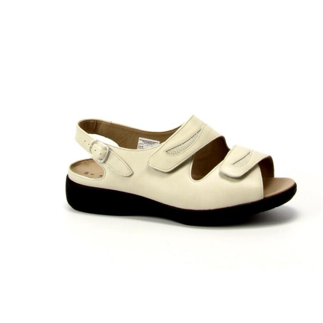 Solidus 73113 73113 Lia large