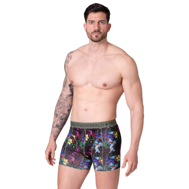Muchachomalo Heren 2-pack boxershorts earth elements EARTHELEMENTS1010-04 large