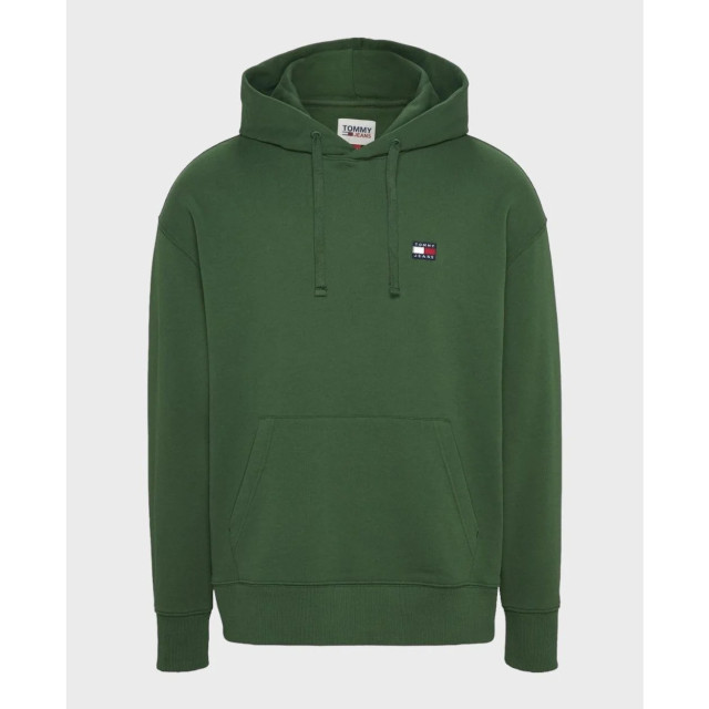 Tommy Hilfiger Tommy hilfiger hoodie Tommy Hilfiger Groen Regular Plus Hoodie large