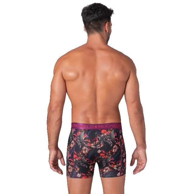 Muchachomalo Heren 2-pack boxershorts print/effen DRAGONFLOW1010-01 large