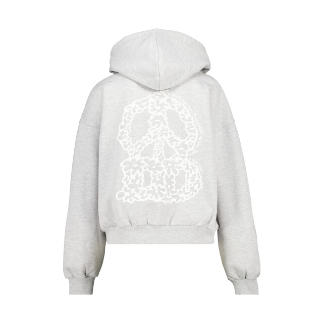 Dr. Denim Dr denim debbie hoodie 2212602001 225 large