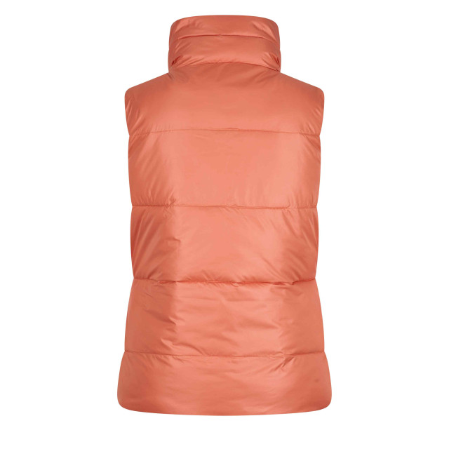 HV Polo Bodywarmer hvpclaire omkeerbaar 0405093550_3087 large