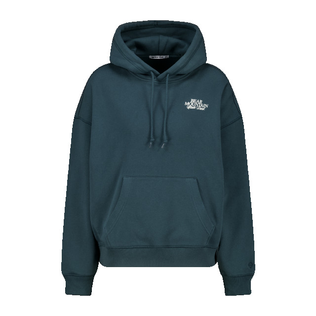 America Today Hoodie selma hood 2212002446 550 large