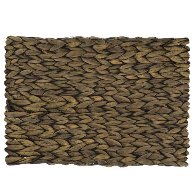 Unique Living placemat wout 30x45cm brown 3014529 large