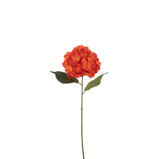 J-Line hortensia sproeier kunststof 74x18x13cm 3002241 large