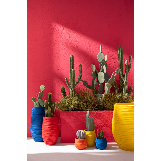 J-Line cactus+pot plastic /melamine wit large 36x20x115cm 3002949 large