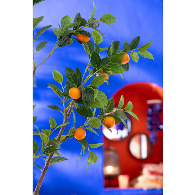J-Line sinaasappelboom in pot kunststof oranje/ large 60x48x130cm 3002236 large