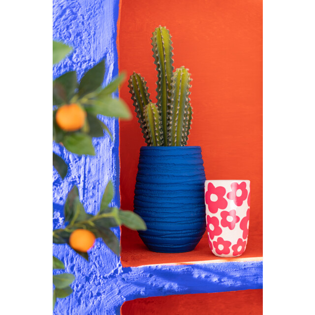 J-Line cactus 5delig 22x16x52.5cm 3002878 large