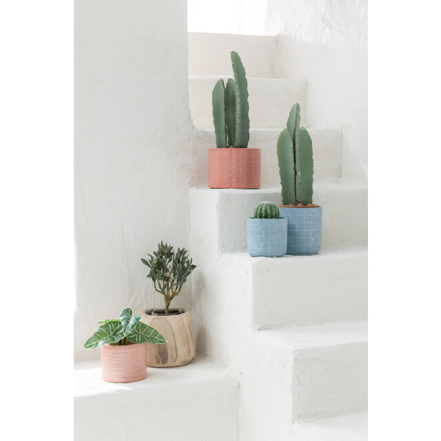 J-Line cactus rond in pot plastiek 10.5x10.5x14.5cm 3001329 large