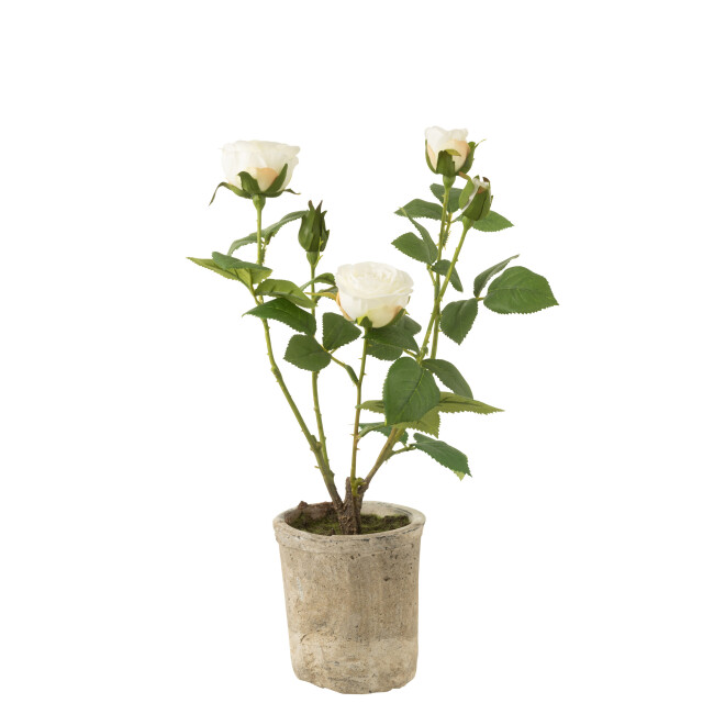 J-Line roos 5 koppen in pot plastiek/textiel /groen 20x20x39cm 3001335 large