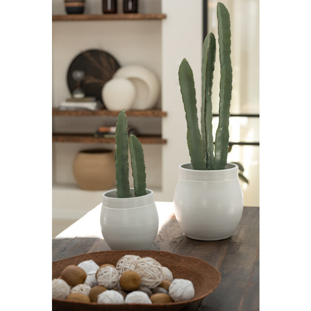 J-Line cactus 3 stuks in pot plastiek small 14x14x47cm 3001330 large