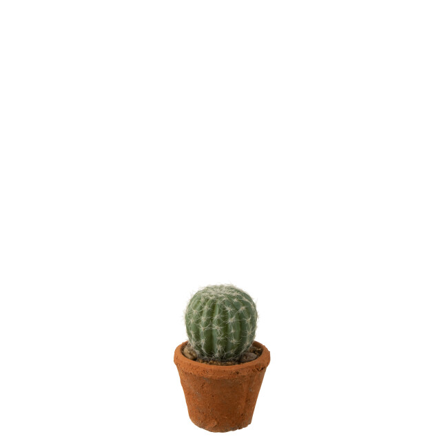 J-Line cactus rond in pot plastiek 10.5x10.5x14.5cm 3001329 large