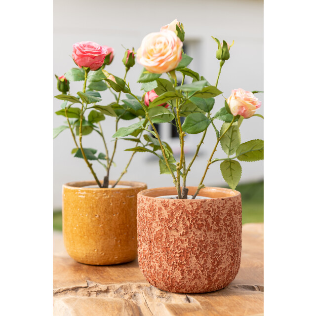 J-Line roos 5 koppen in pot plastiek/textiel /groen 20x20x39cm 3001334 large