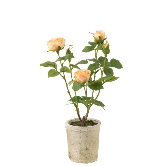 J-Line roos 5 koppen in pot plastiek/textiel /groen 20x20x38cm 3001336 large