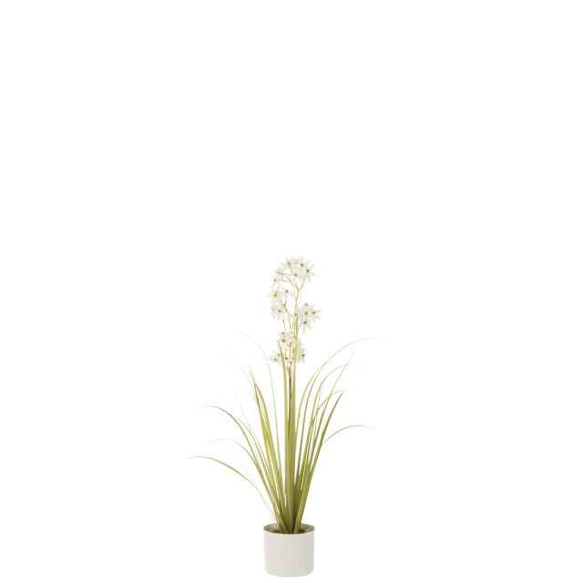 J-Line allium in pot plastiek groen/ small 15x15x92cm 3001295 large