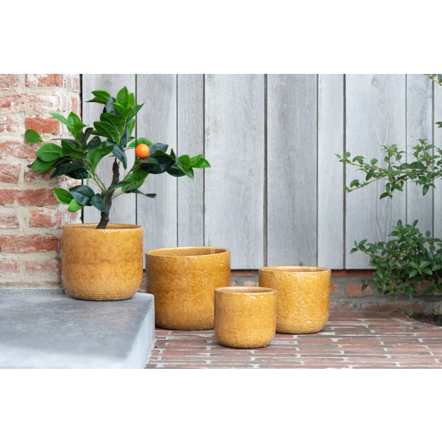 J-Line bloempot leo keramiek oker large 20x20x17cm 3008316 large