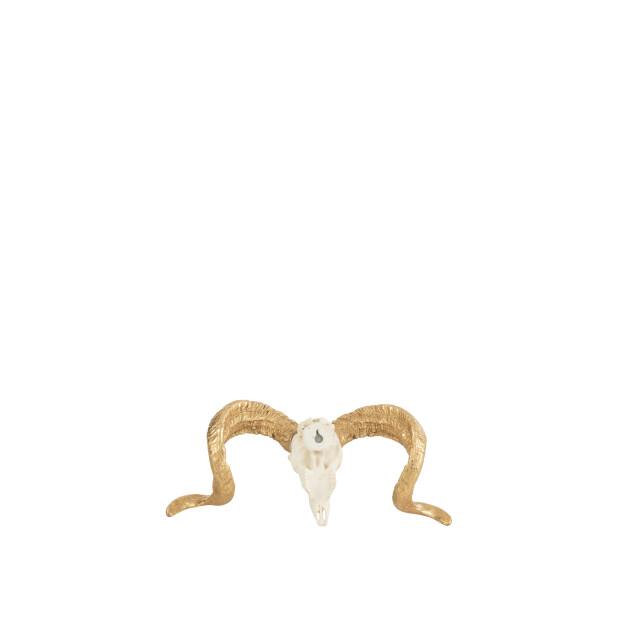 J-Line schedel schaap resine wit/goud small 32x11x16cm 3007007 large