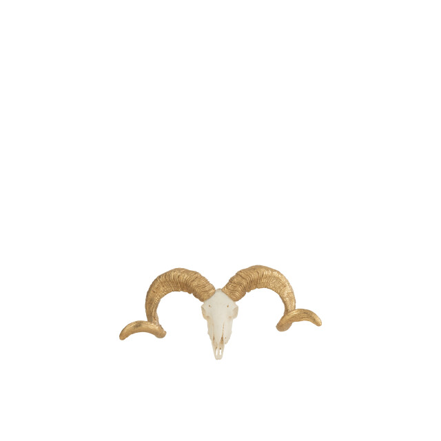 J-Line schedel schaap resine wit/goud small 32x11x16cm 3007007 large