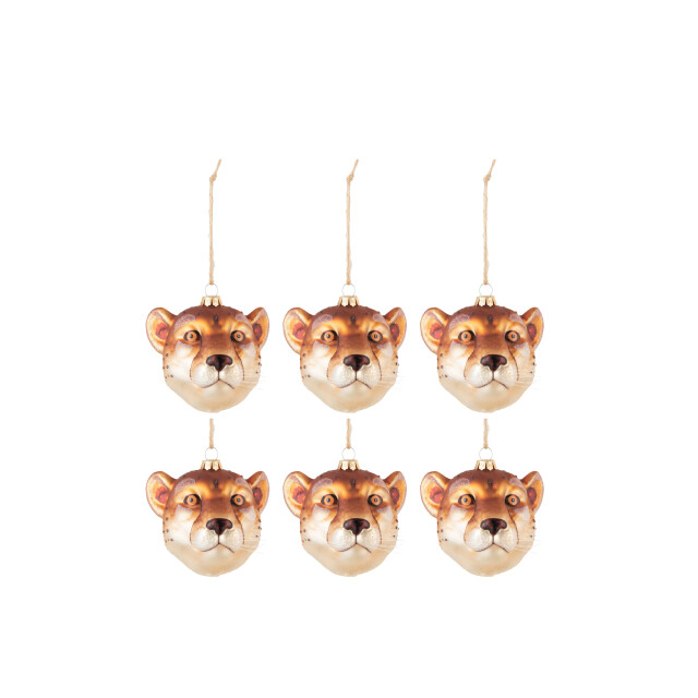 J-Line doos van 6 kerstballen leeuwenkopje glas mix 9.5x10x10cm 3007168 large