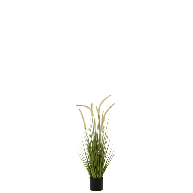 J-Line grassen+staarten in pot plastiek small 25x25x90cm 3007319 large