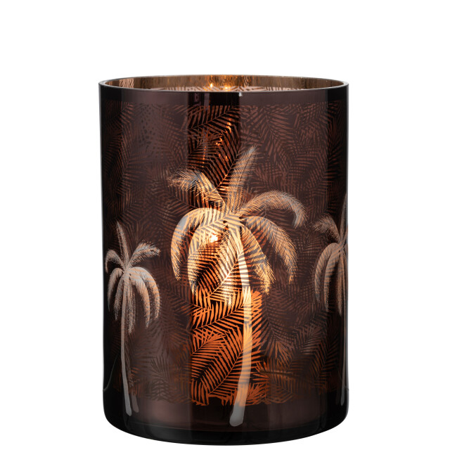 J-Line windlicht palmboom glas xlarge 17.5x17.5x24cm 3013659 large