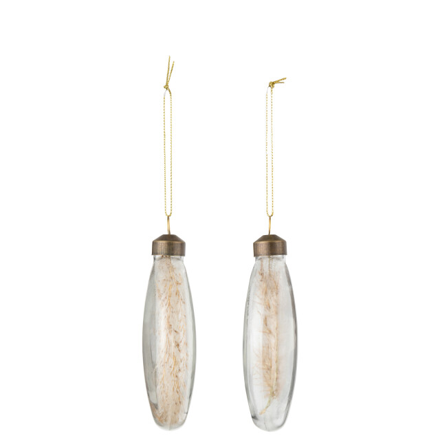 J-Line doos van 4 kerstballen rond plat 2+2 gedroogde pampas glas transparant 3007181 large
