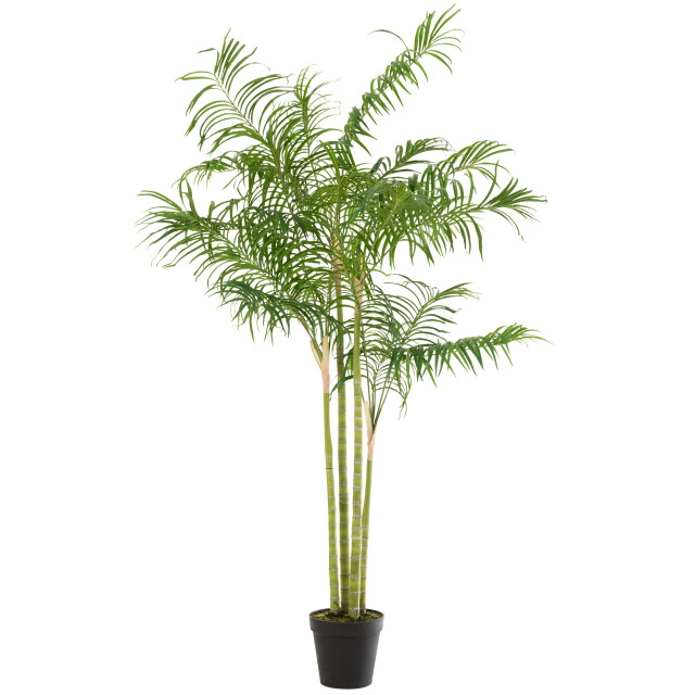 J-Line bamboepalm in pot plastiek /zwart large 120x120x175cm 3000158 large