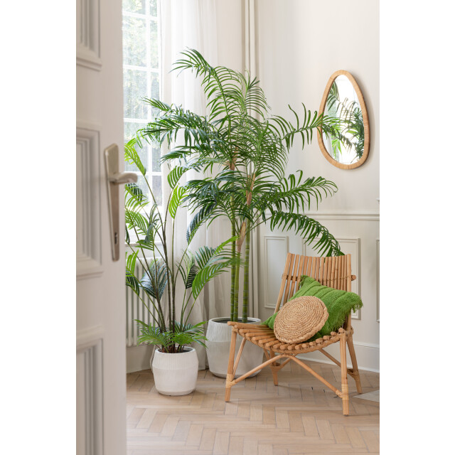 J-Line bamboepalm in pot plastiek /zwart small 110x110x170cm 3000156 large