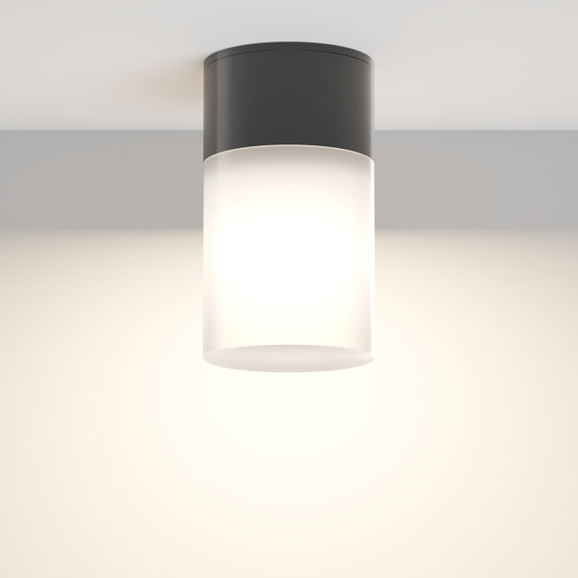 Maytoni Outdoor plafondlamp willis - Ø8 2994949 large