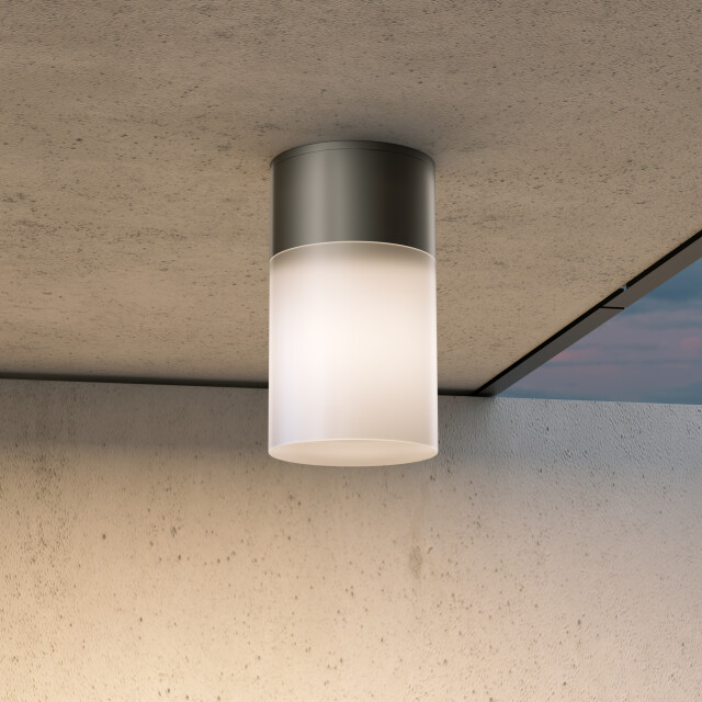 Maytoni Outdoor plafondlamp willis - Ø8 2994949 large
