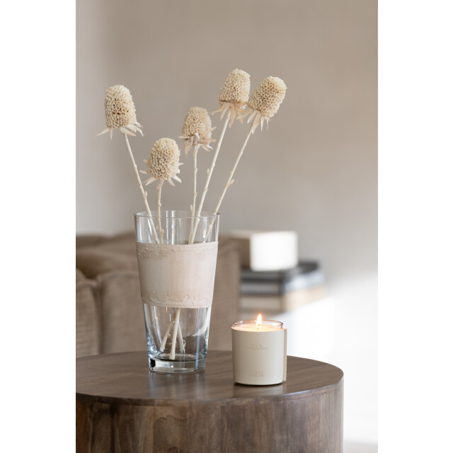 J-Line vaas delph glas transparant/ small 19x19x35cm 2997720 large