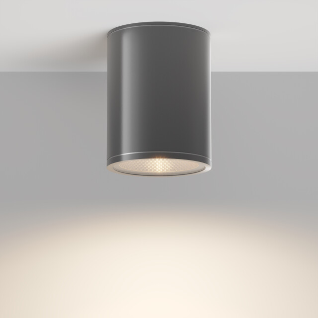 Maytoni Outdoor plafondlamp bar grafiet Ø9 2994864 large
