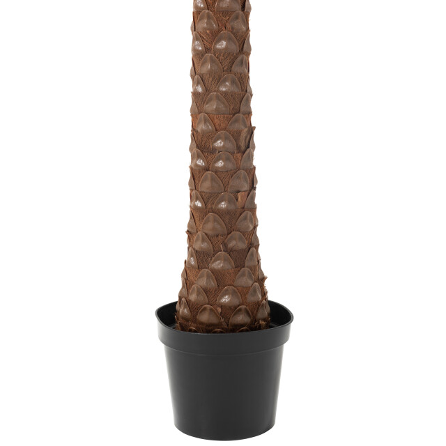 J-Line palmboom 4kokosn in pot plastiek 190x190x350cm 3003620 large