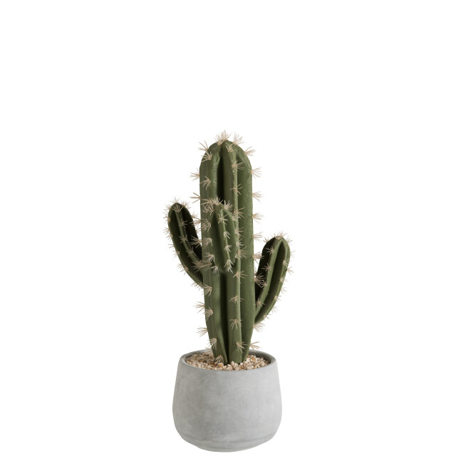 J-Line succulent+pot cement 17x17x46cm 3003244 large