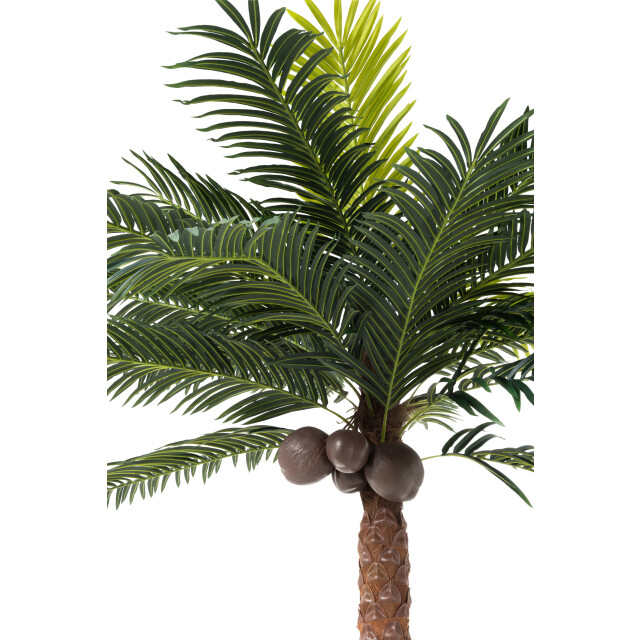 J-Line palmboom 4kokosn in pot plastiek 190x190x350cm 3003620 large