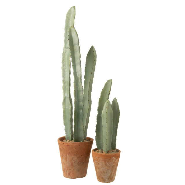 J-Line cactus 3 stuks in pot plastiek large 17x17x80cm 3001332 large