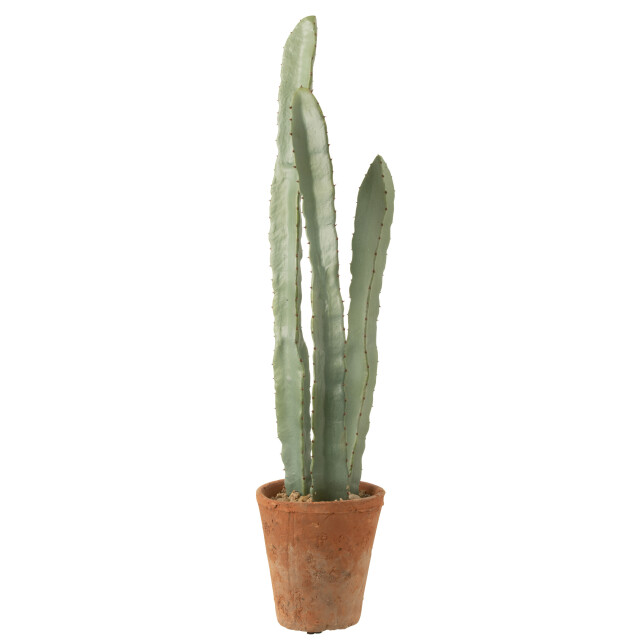J-Line cactus 3 stuks in pot plastiek large 17x17x80cm 3001332 large