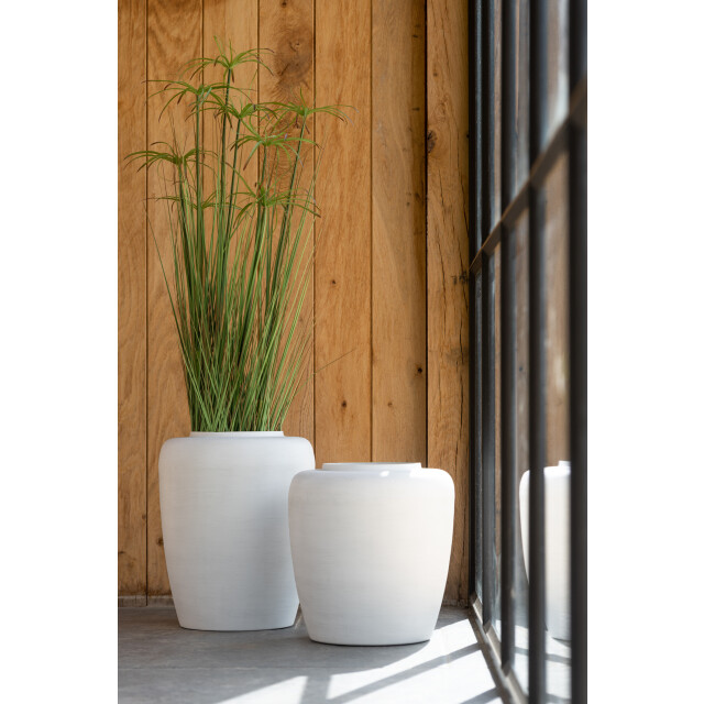 J-Line cyperus alternifolius 11 koppen in pot pvc large 43x43x140cm 3008191 large