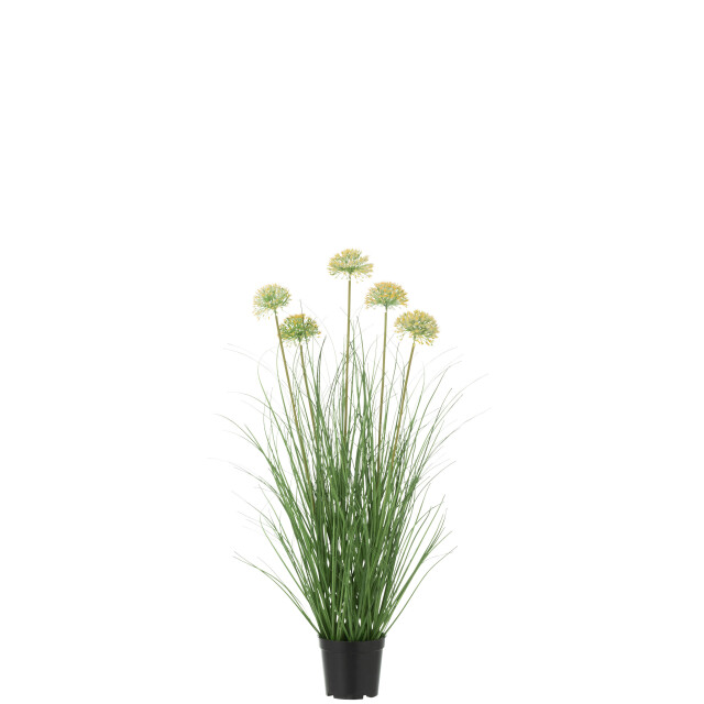 J-Line gras met bloem in pot pvc 33x33x72cm 3008184 large