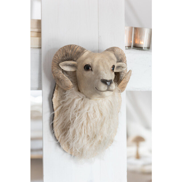 J-Line geit kop hangend poly small 24.5x24.5x36cm 3011272 large