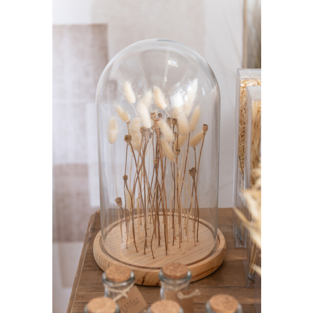 J-Line stolp droogbloemen ecru/bruin glas hout small 16.5x16.5x25cm 3006645 large