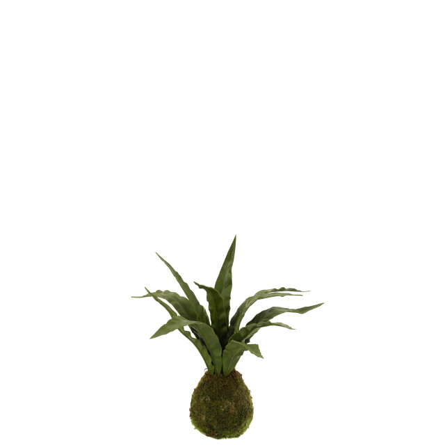 J-Line vrouwentongen bol aarde plastiek 32x30x35cm 3000153 large